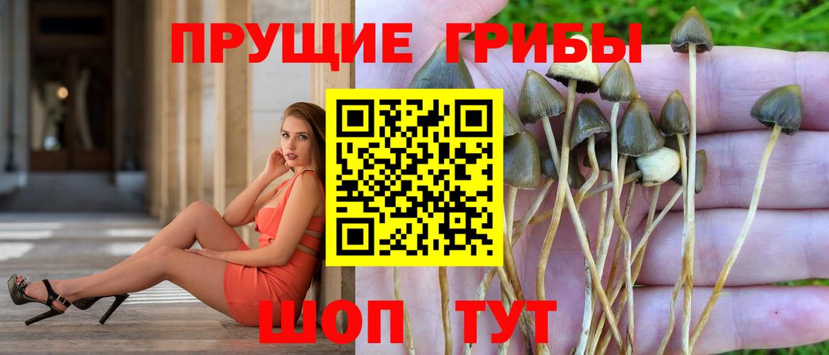 Псилоцибиновые грибы MAGIC MUSHROOMS Нурлат