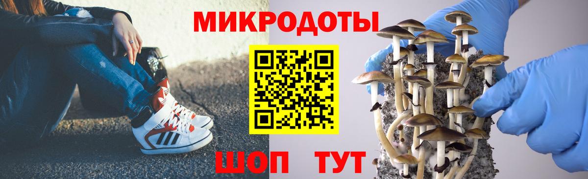 Псилоцибиновые грибы прущие грибы  Вход с VPN  Нурлат  Галлюциногенные грибы мухоморы 
